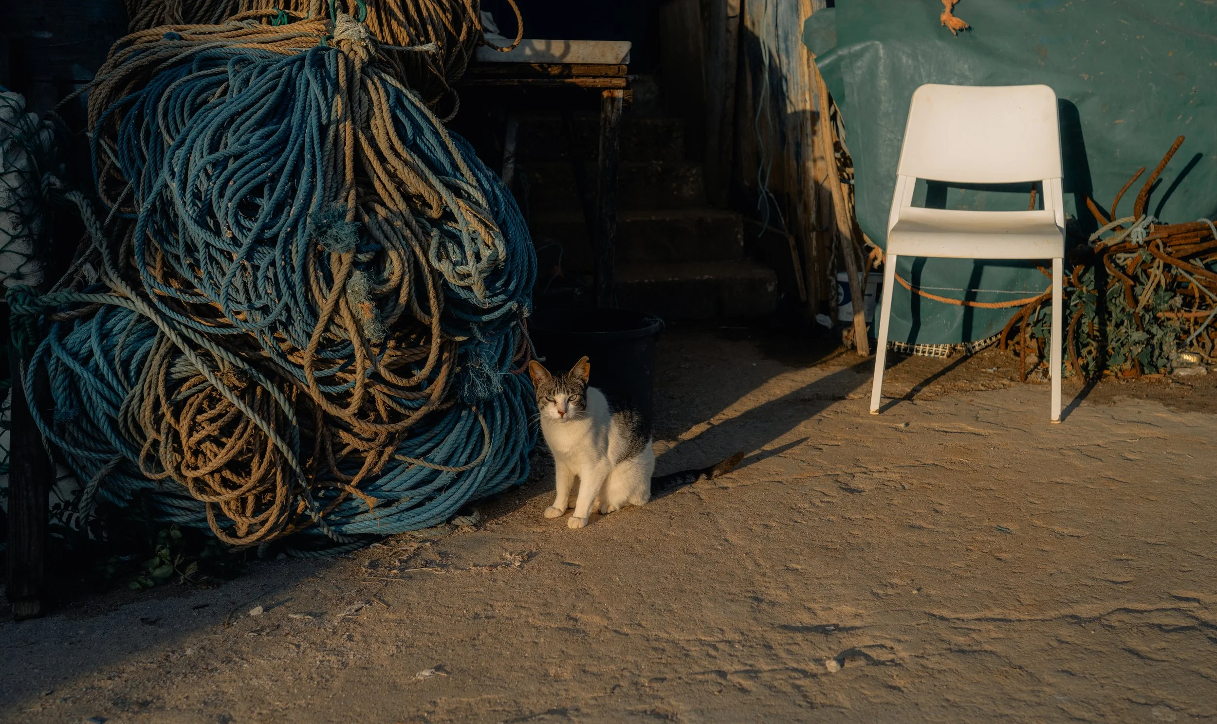 DSC_3672.jpg