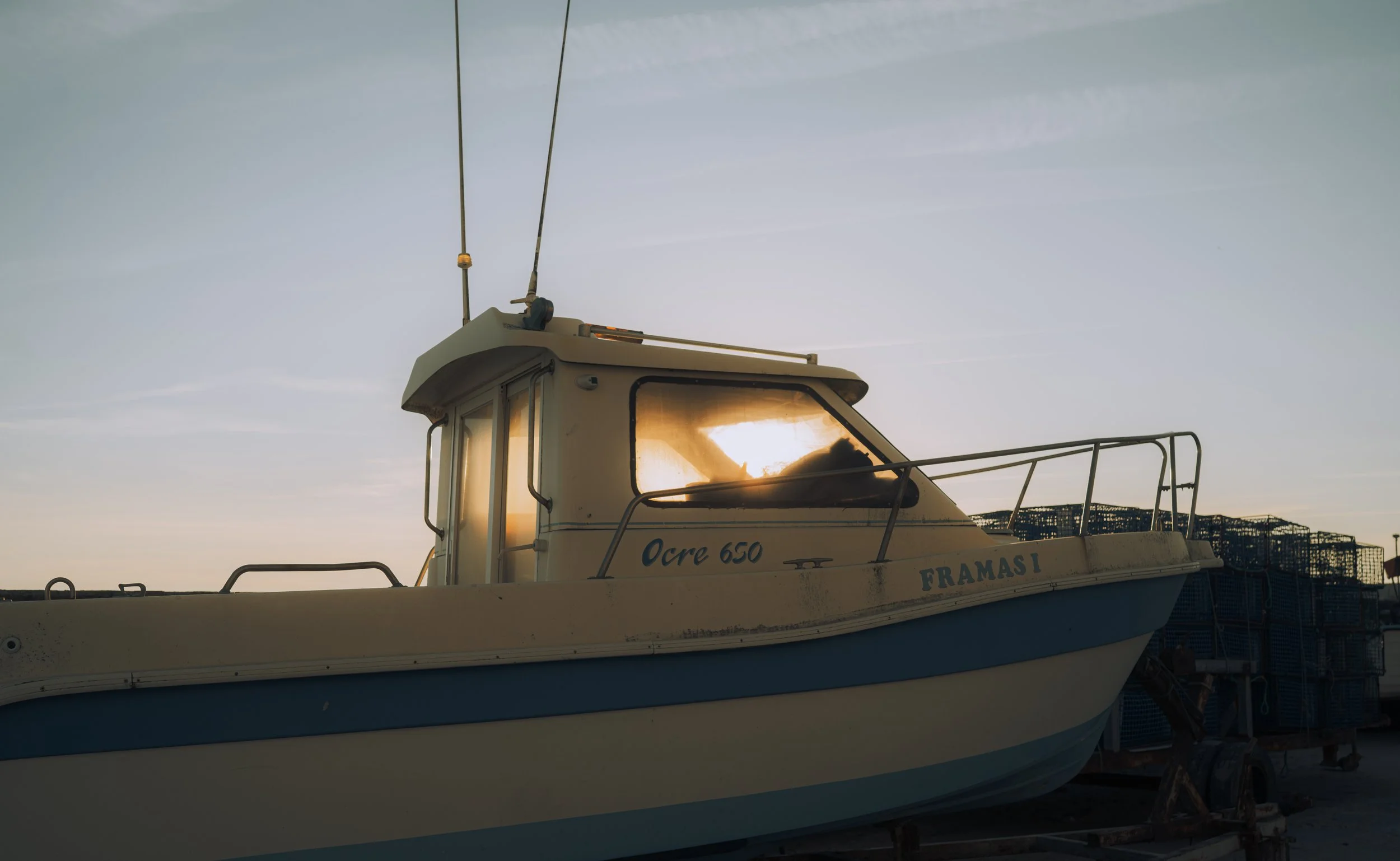 DSC_3679.jpg