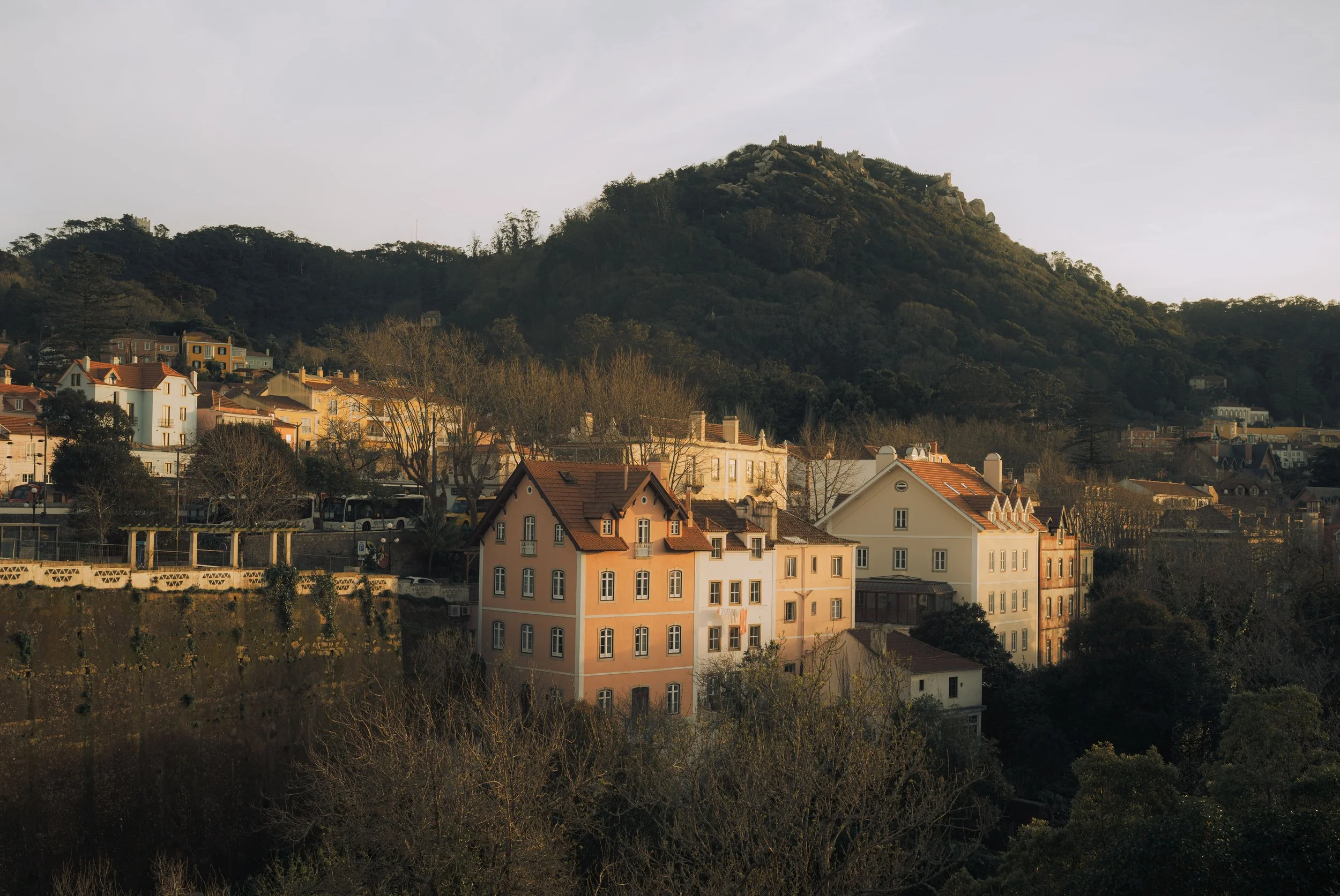 DSC_1064.jpg