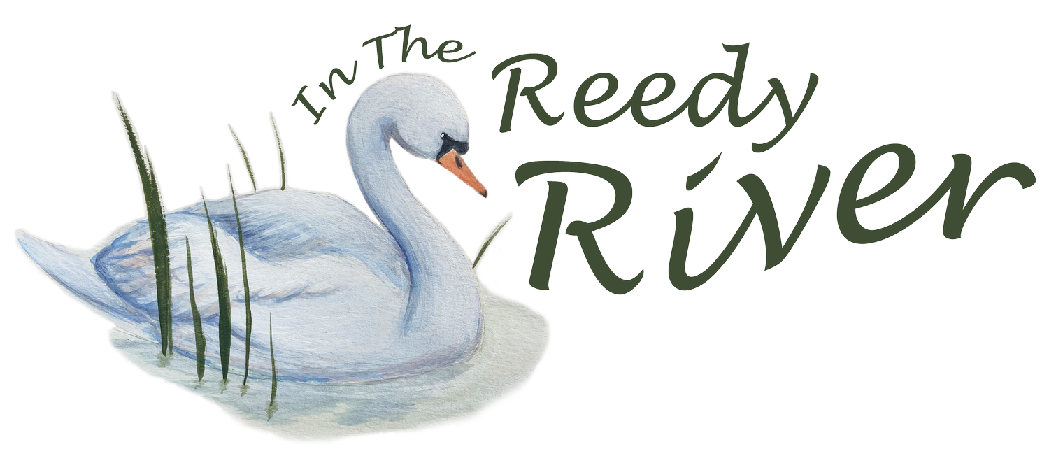 In The Reedy River