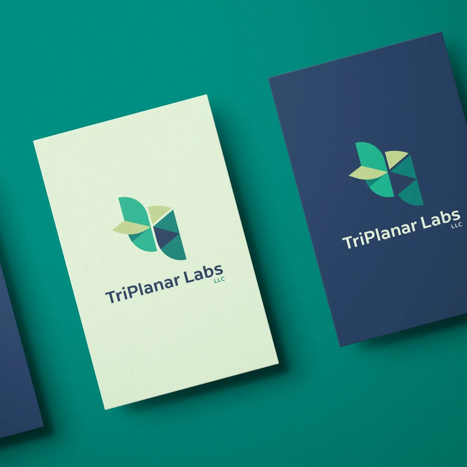 LogoDisplay_TriPlanar.jpg