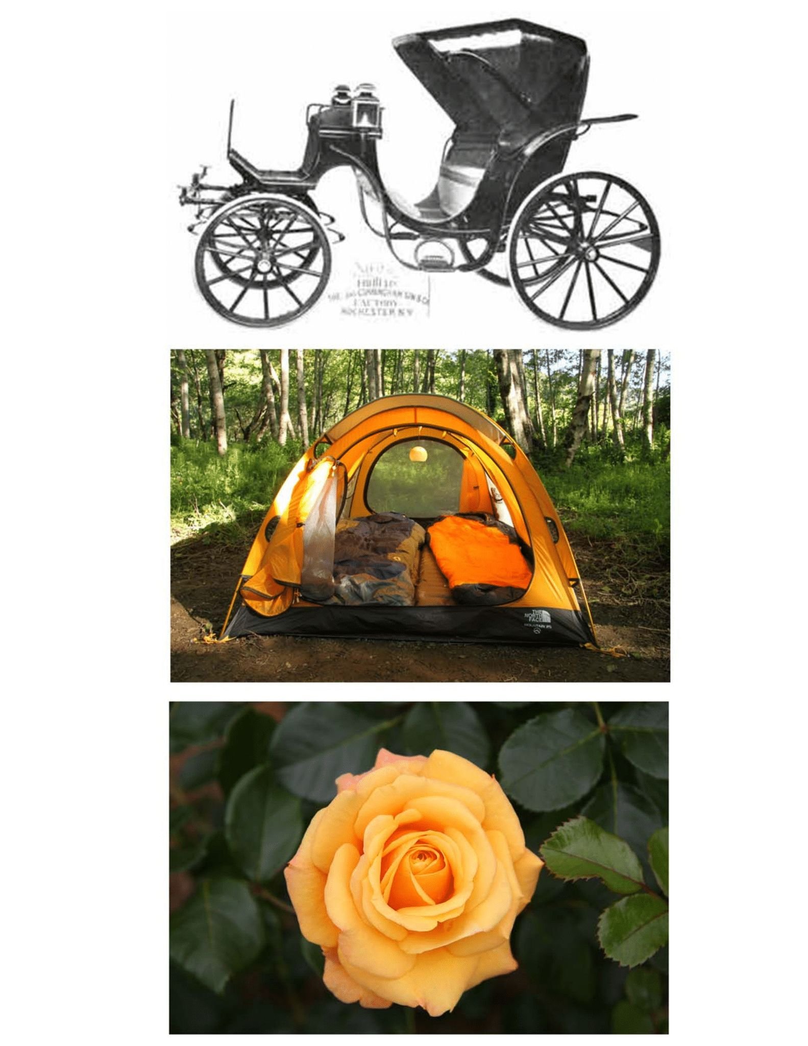 conceptual inspiration