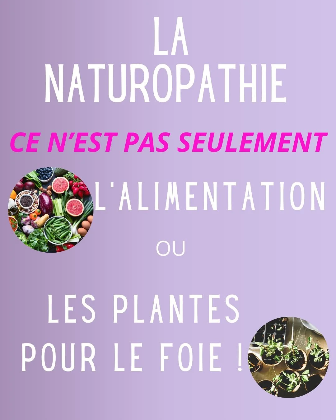 🌼On pense parfois que la naturopathie se limite &agrave; des conseils alimentaires ou &agrave; une cure pour le foie.
Mais en r&eacute;alit&eacute;, elle nous invite &agrave; regarder bien plus loin&hellip;

💜Comment va votre &acirc;me, au fond ?
C