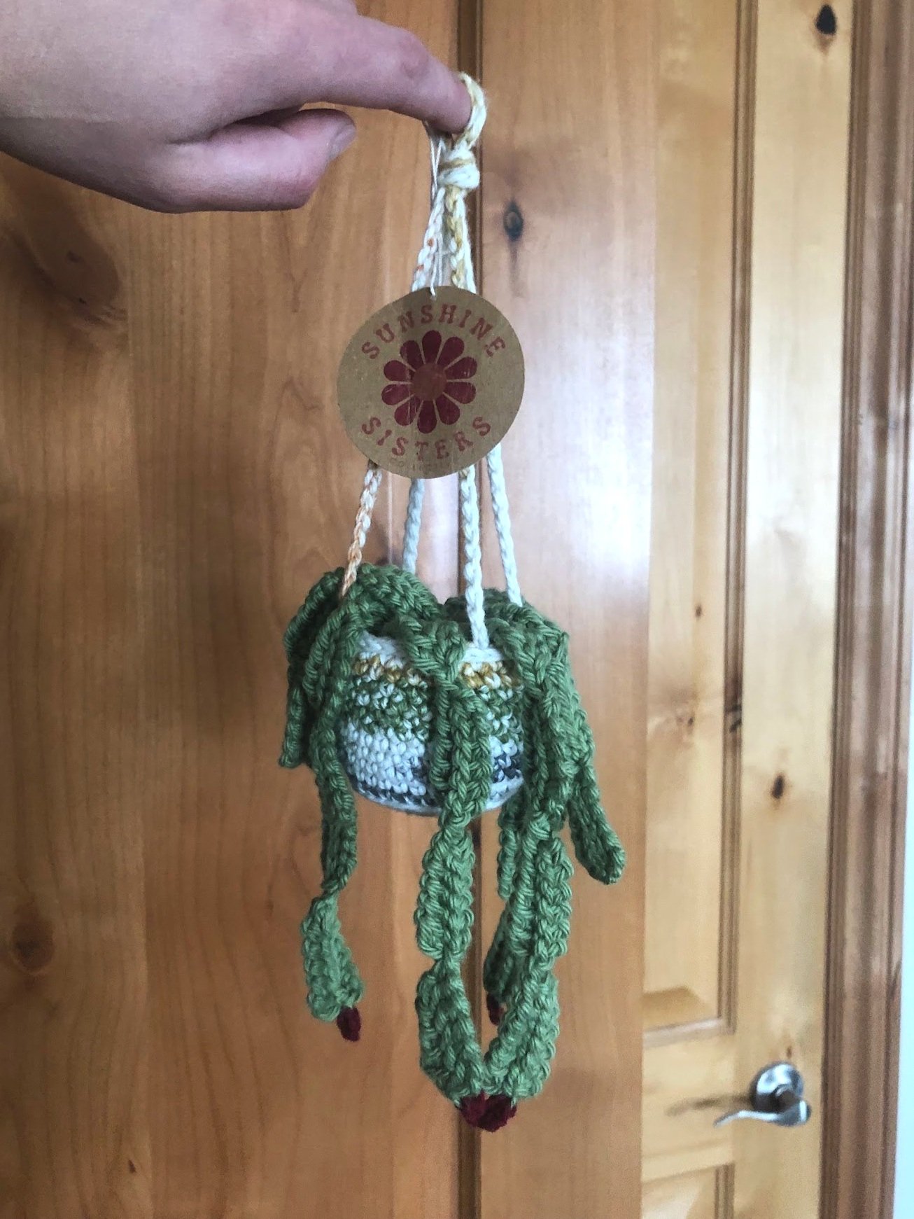 hangingplant3.jpg