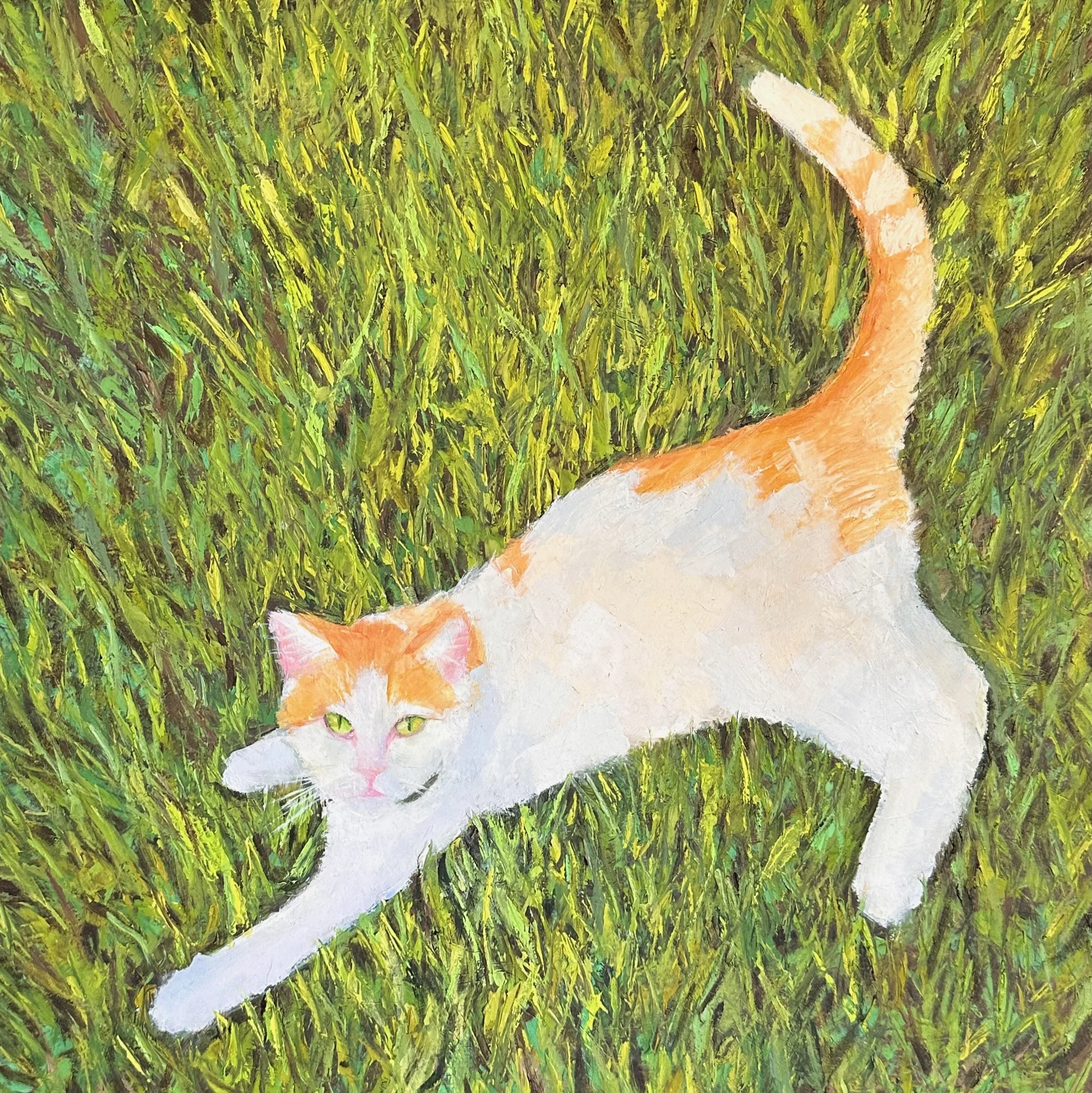 Orange and White Cat
16" x 16"
1-1/2" depth panel
2025
$380 unframed/ $470 framed