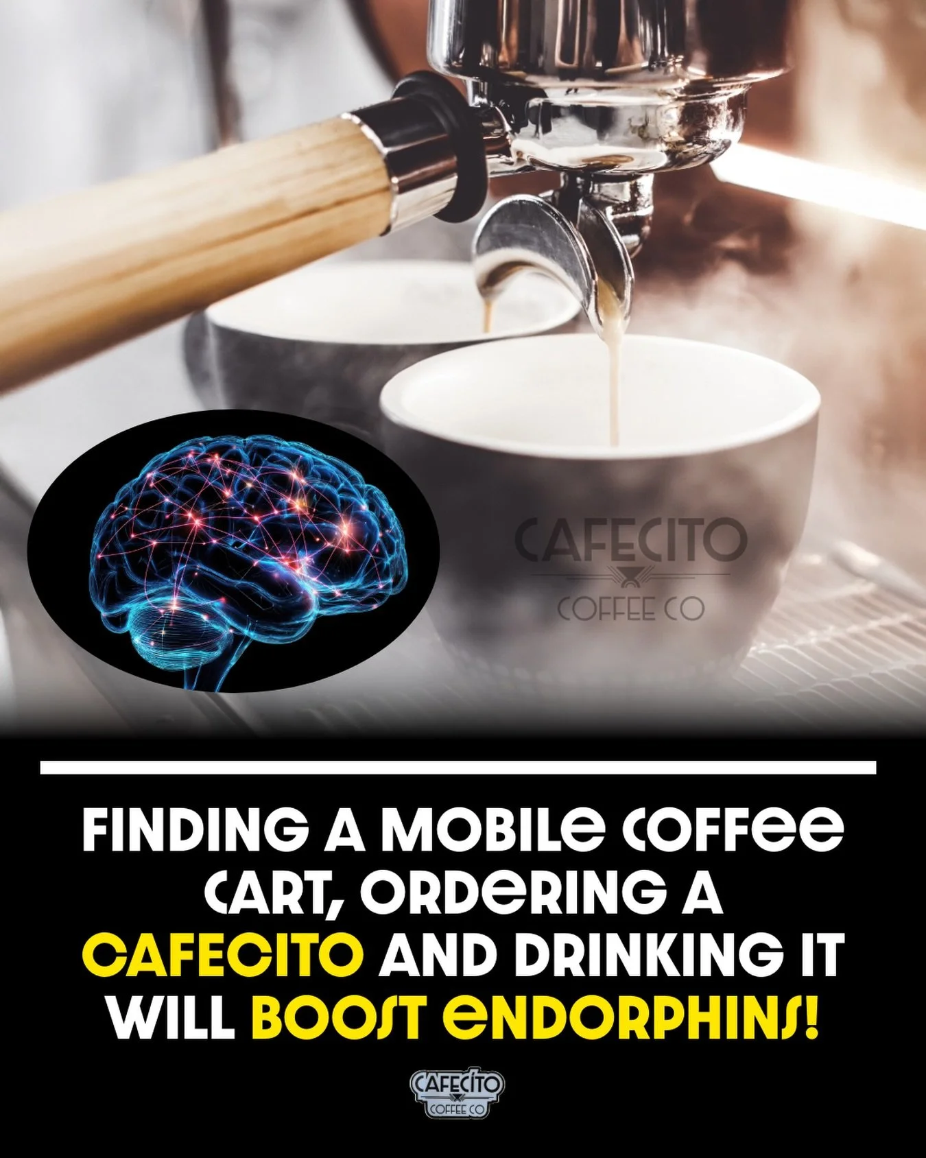 If it&rsquo;s on your feed it must be true!