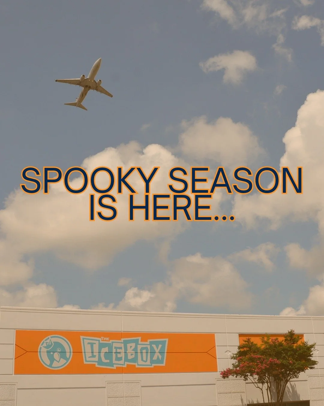 🎃 Spooky season is officially here 👻

From haunted hats to wickedly fun swag, we&rsquo;re bringing a little extra magic to your team this Halloween. Peek at some of our favorite spooky merch and start planning how to make your workplace festive and
