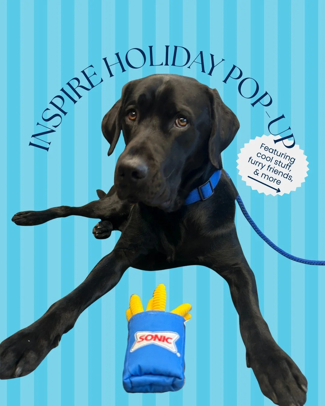 @InspireBrands, you showed up for the holiday pop up ✨🎄

Holiday picks, brand merch from all your favorites, custom collections and even a cameo from the cutest dog of all time 🐶

This one was a blast! 🐧

#theicebox #iceboxcoolstuff #brandedmerch 