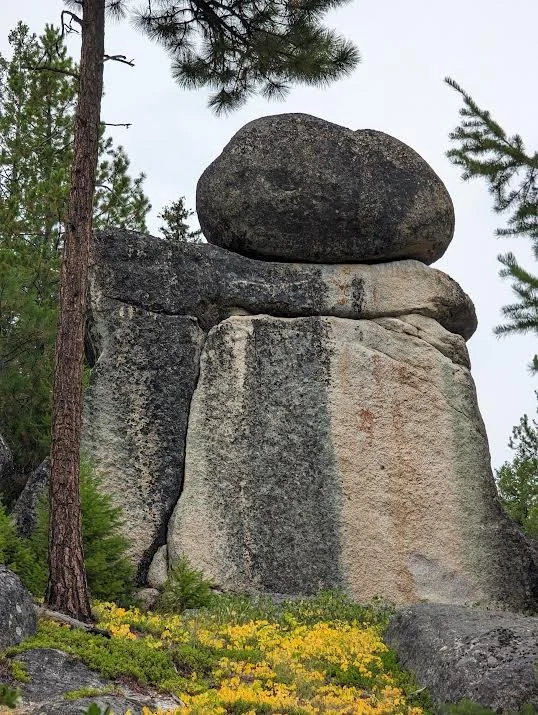 Large balanced rock formation with a big boulder on top, surrounded by pine trees and yellow ground cover.