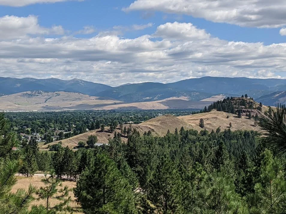 Landscape of rolling hills and forested areas with mountains in the background under a partly cloudy sky.
