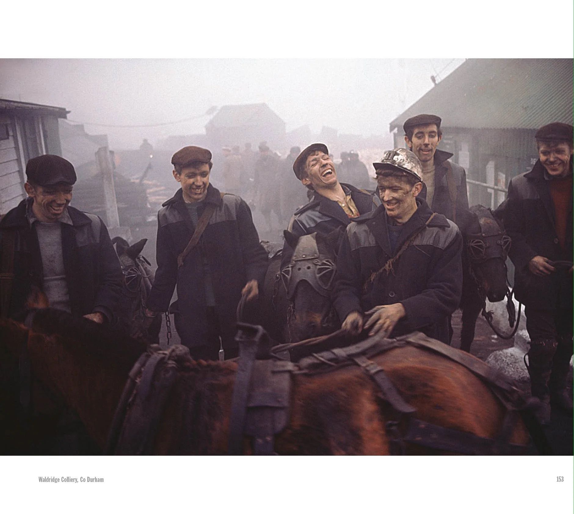 The North 09.42.07.jpg