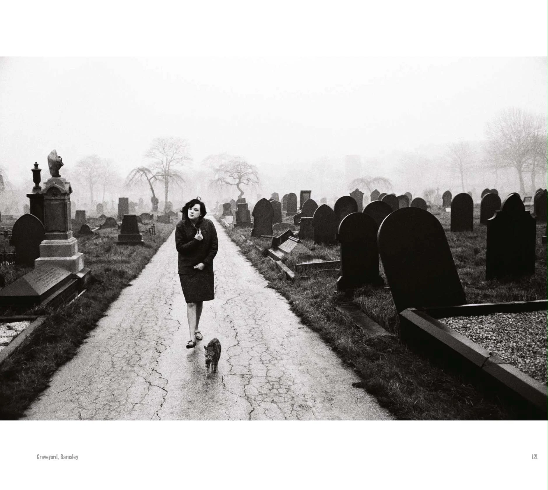 The North 09.41.42.jpg