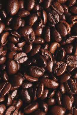 Adobe Express - Sequence 01_3.gif