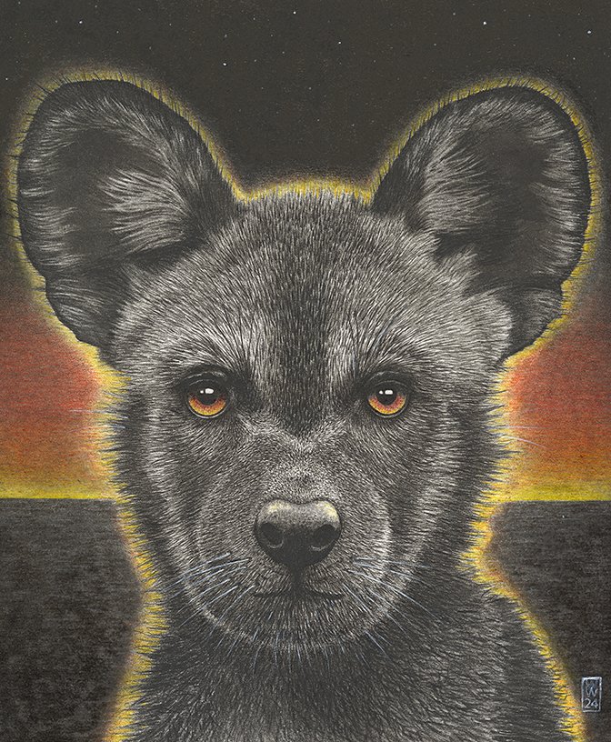 I am African Wild Dog Pup