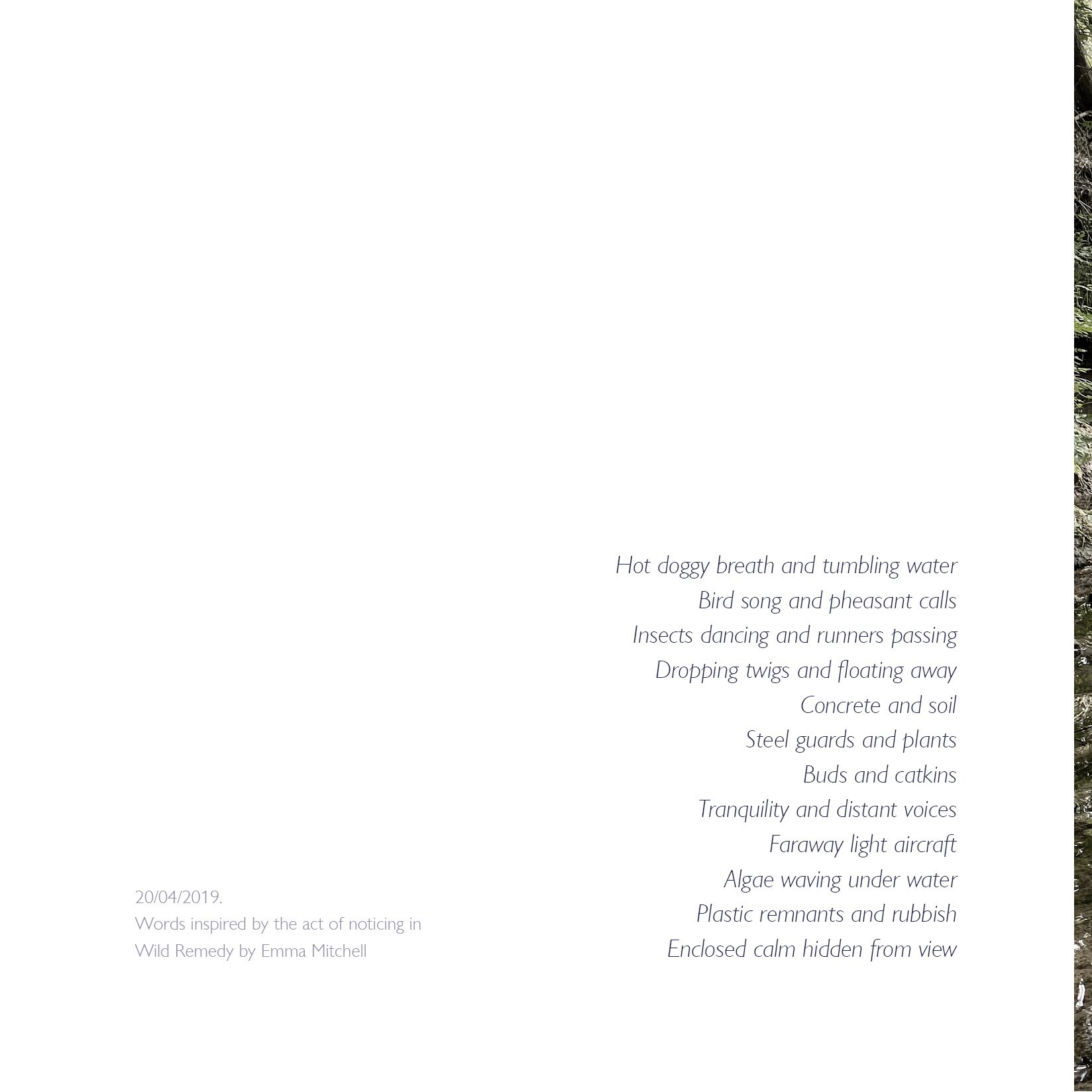 Polser Brook Sanctuary 18cm14.jpg