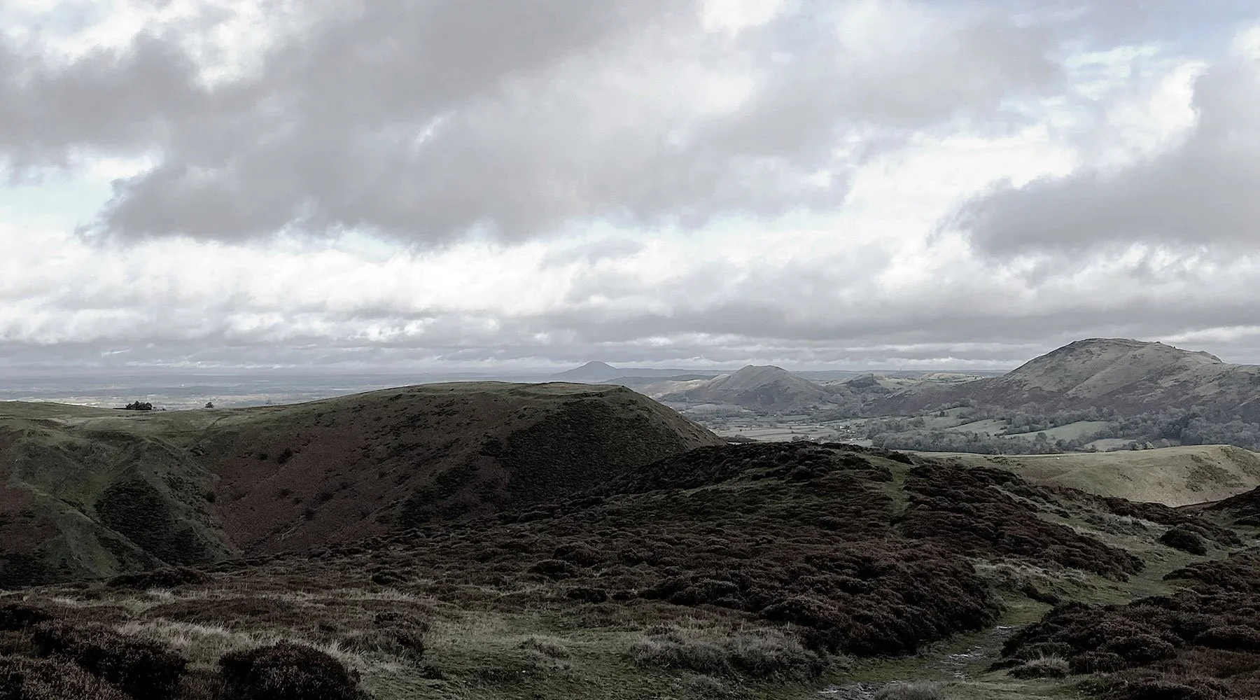 The many needs for sanctuary