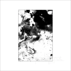 Abstracted+35+Set+1,+image+10+black+and+white.webp