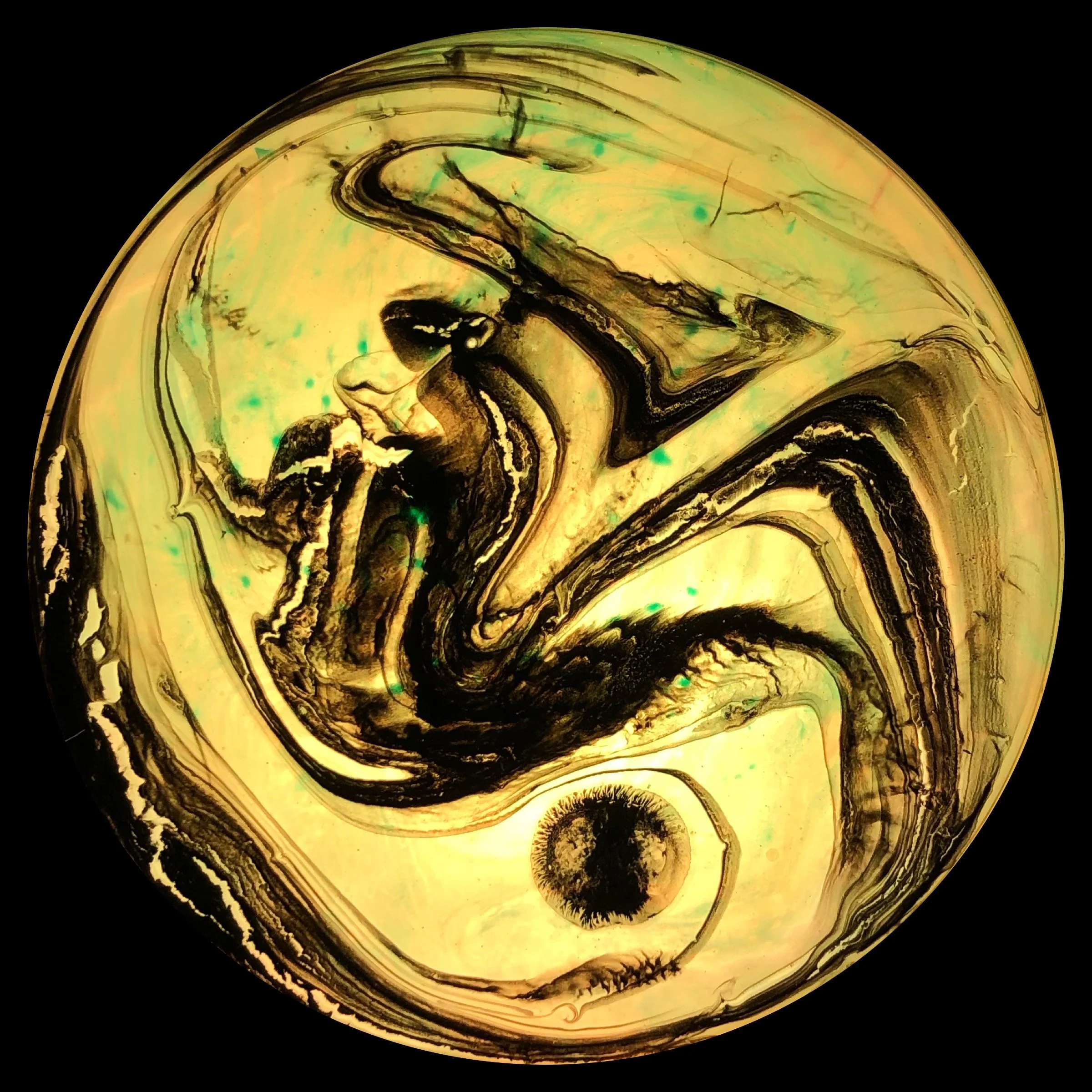 Obscurus II - 1 of 12 - in lightbox