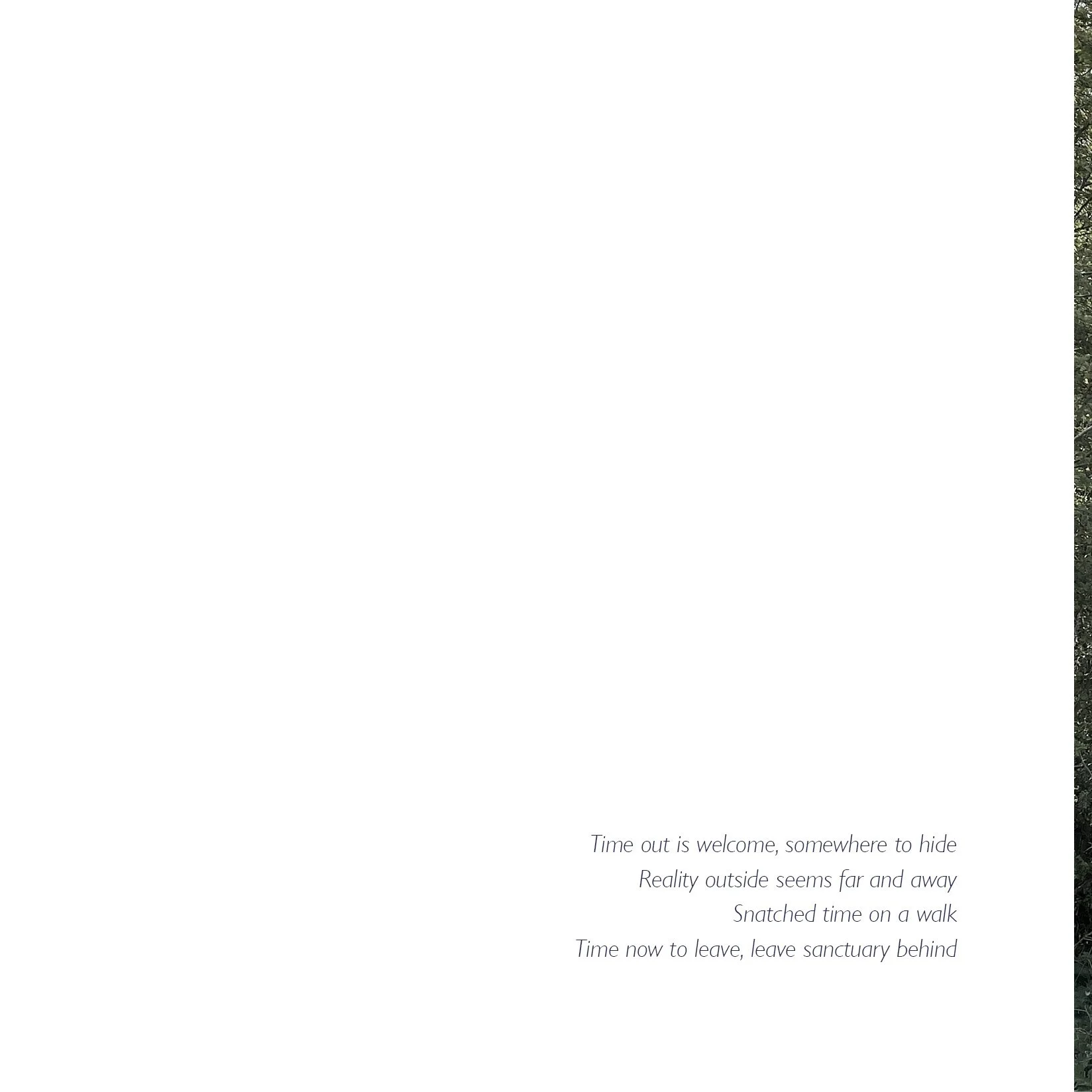 Polser Brook Sanctuary 18cm12.jpg