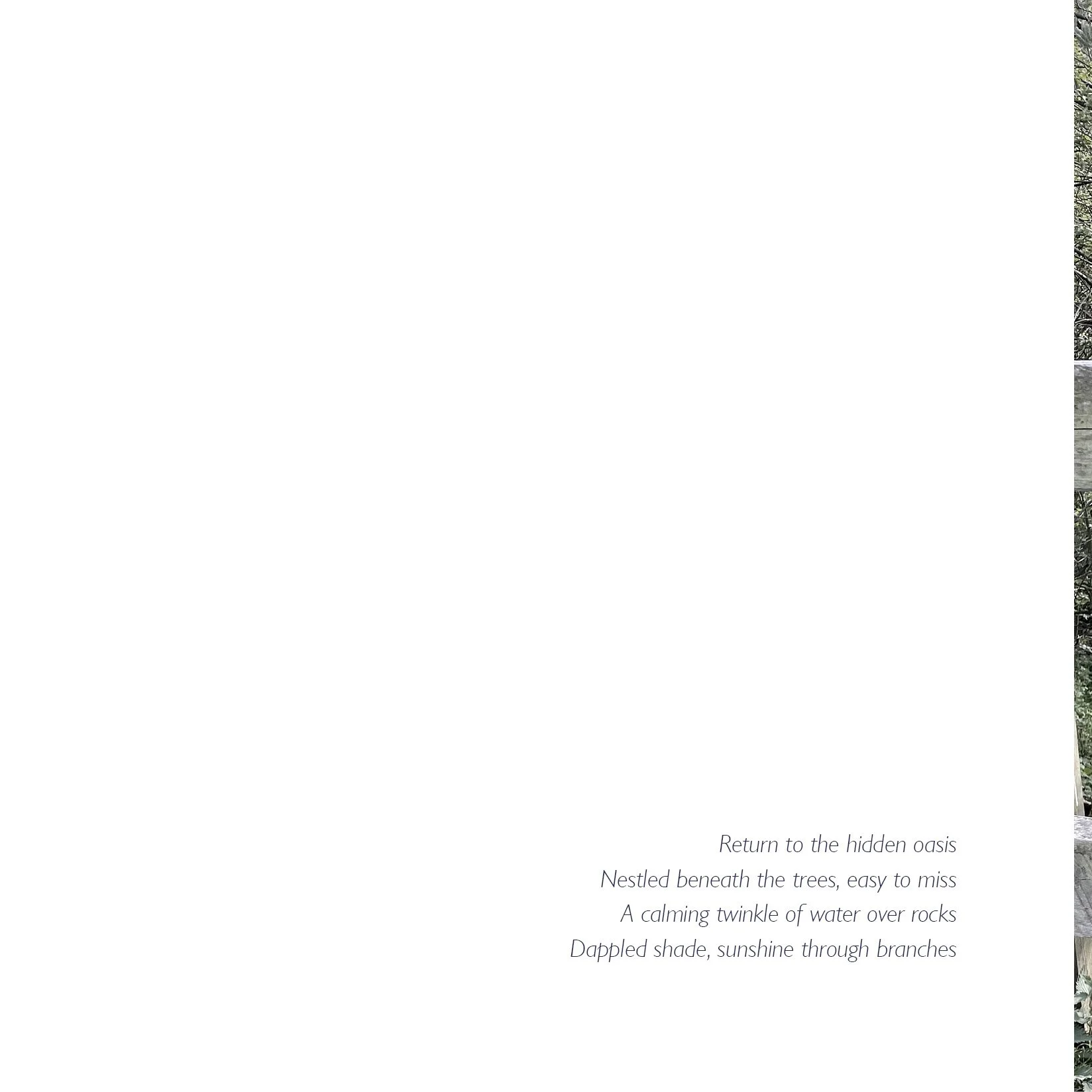 Polser Brook Sanctuary 18cm4.jpg