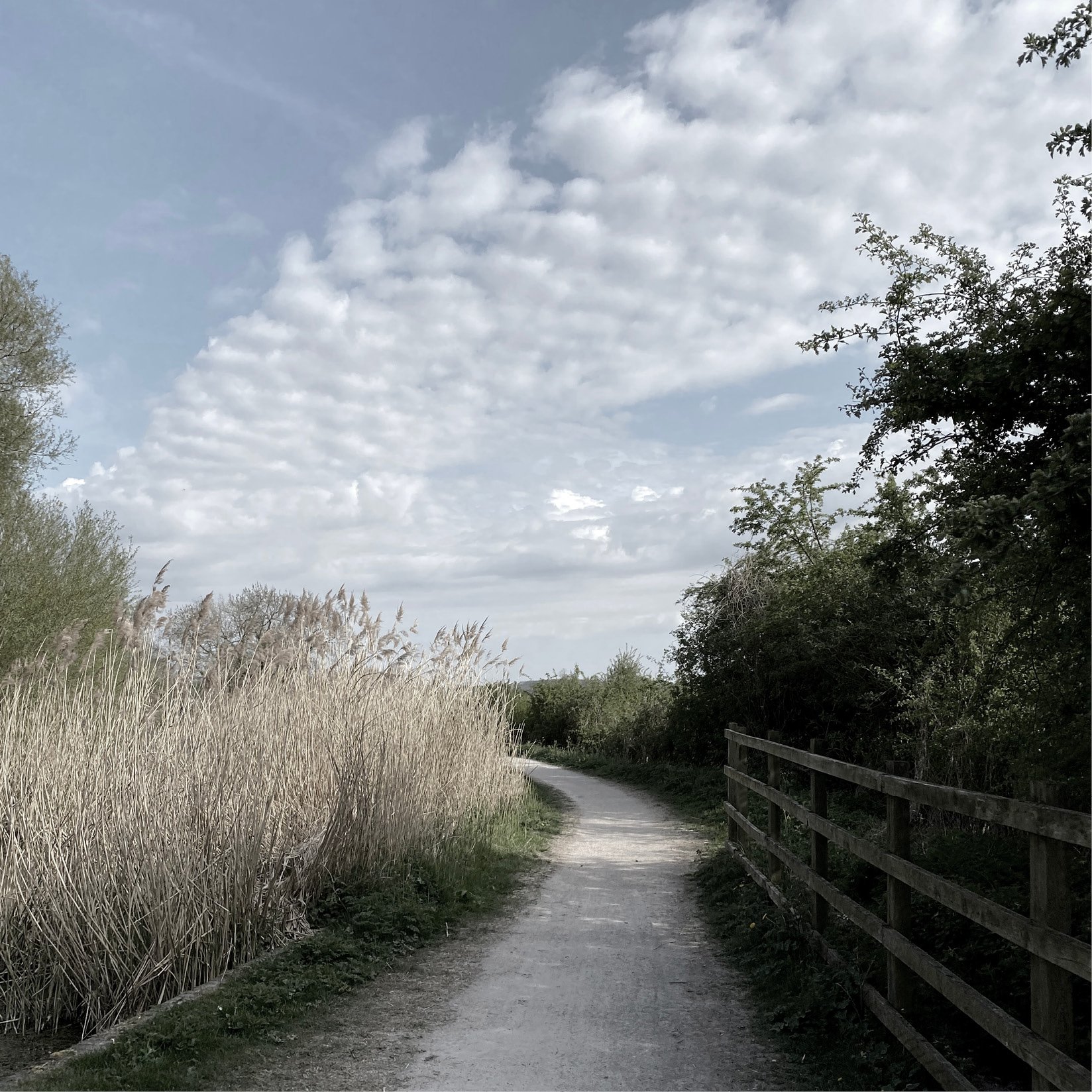 Polser Brook Sanctuary 18cm16.jpg