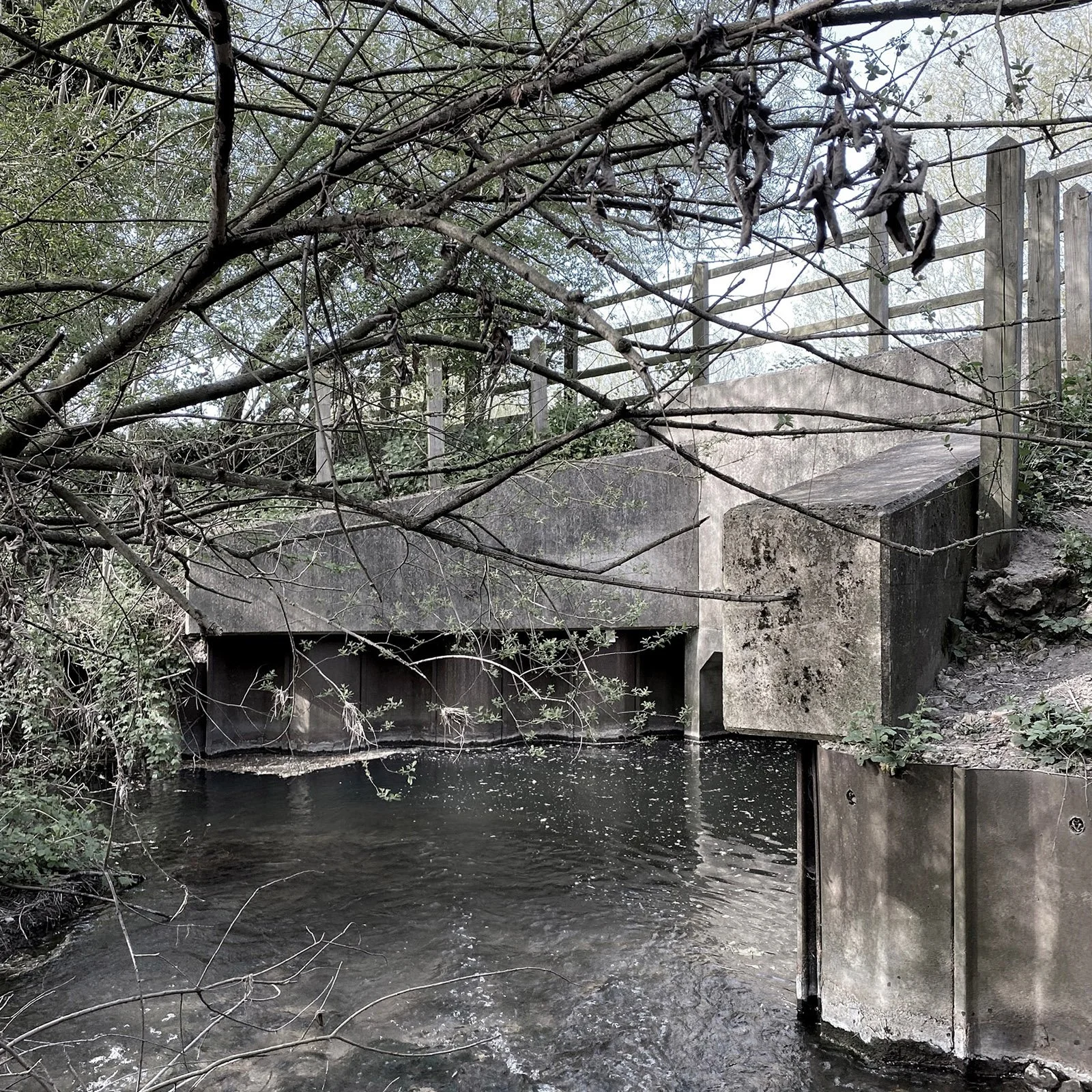 Polser Brook Sanctuary 18cm7.jpg