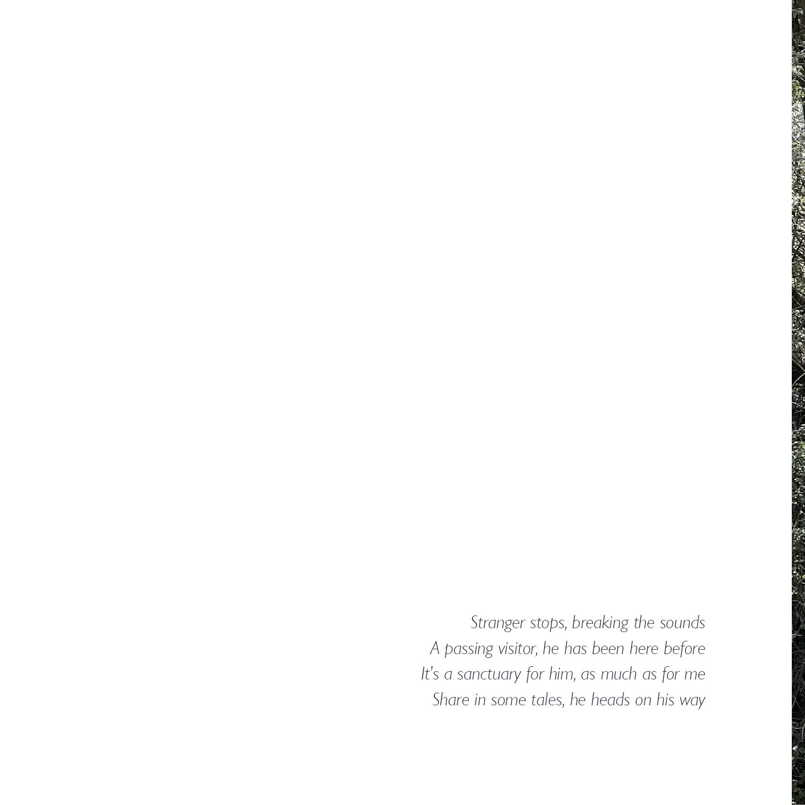 Polser Brook Sanctuary 18cm10.jpg