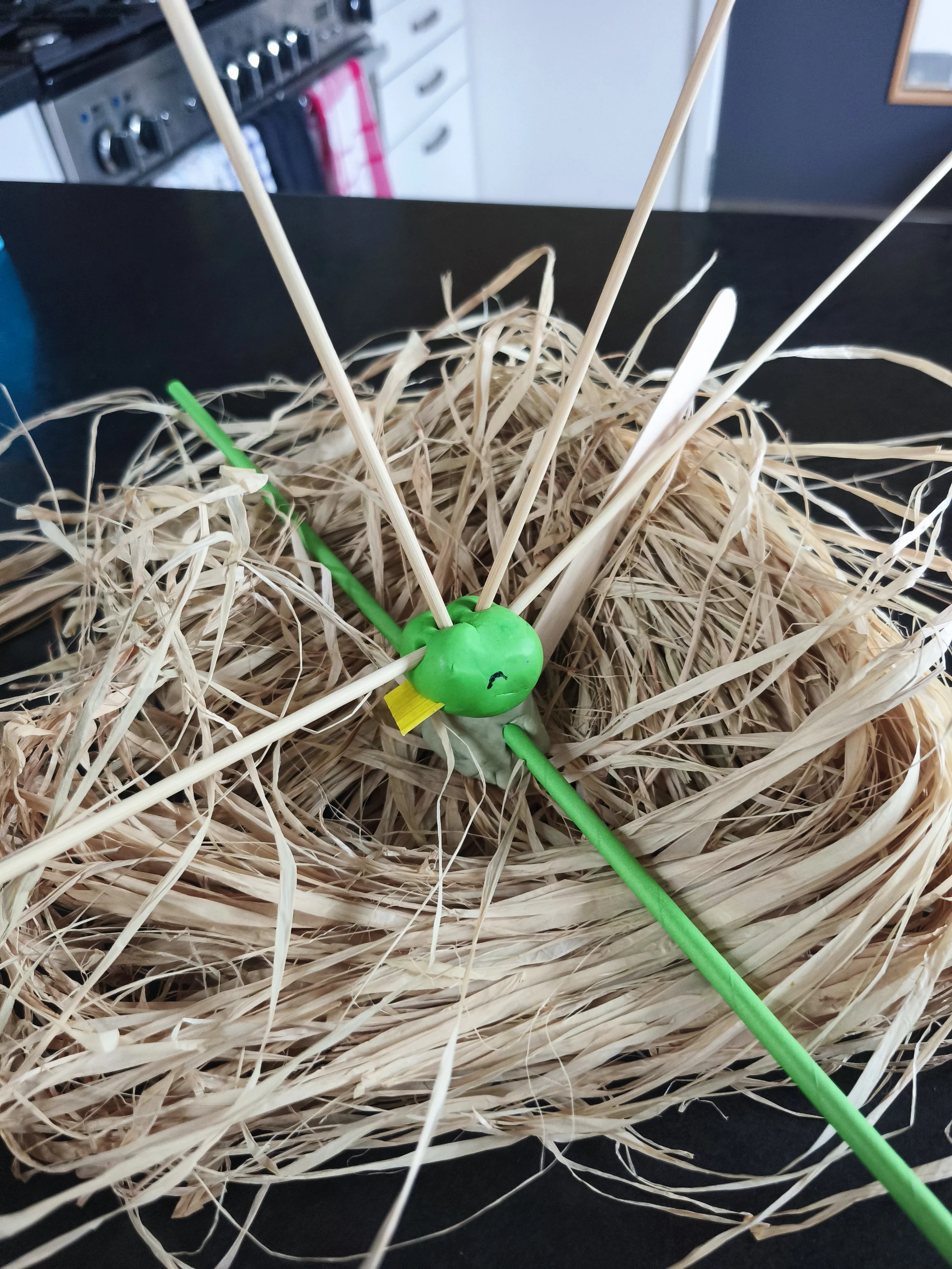 CURIOUS OBJECTS (23 Oct 2026) — Full Day