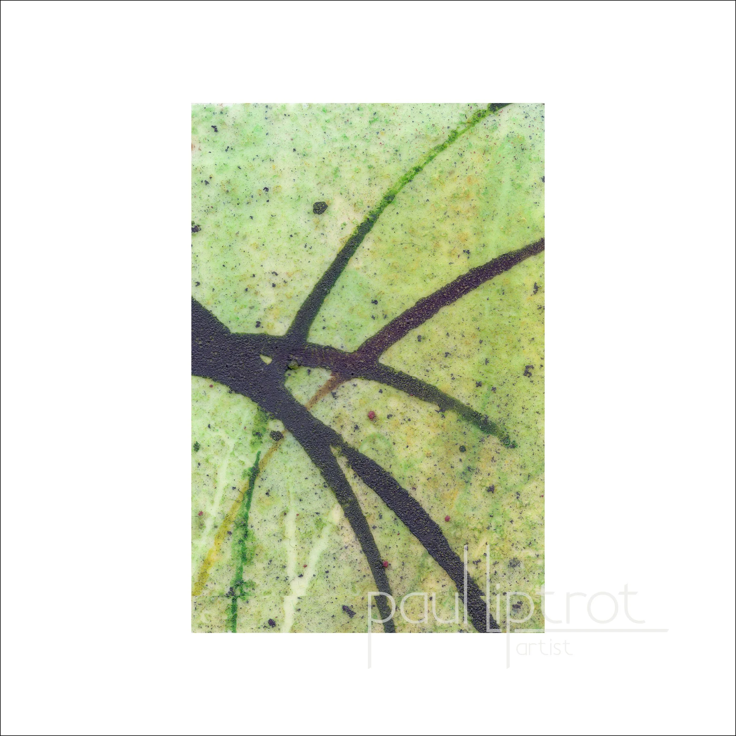 The Abstracted 35 Series