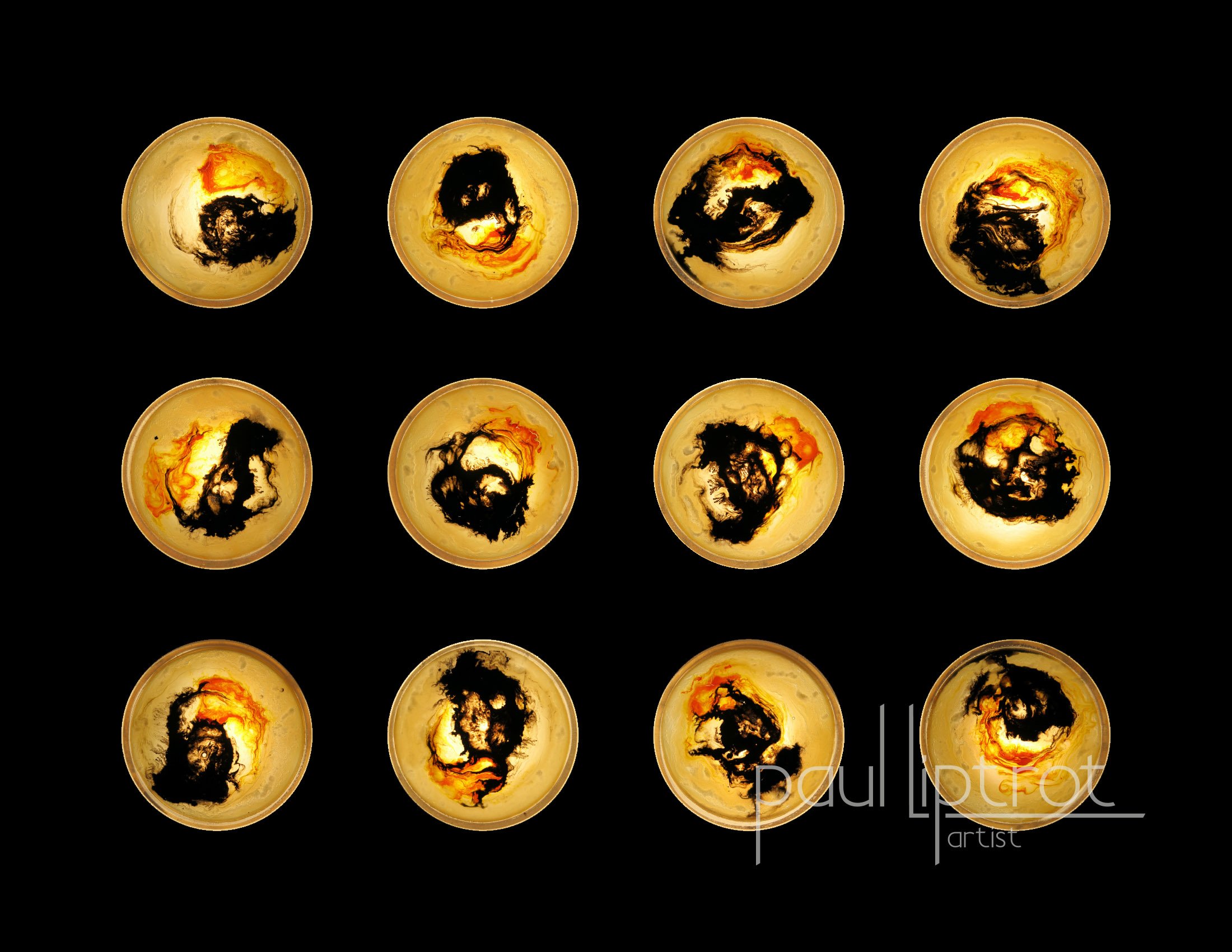 Copyright - Paul Liptrot Artist - 85-96.jpg