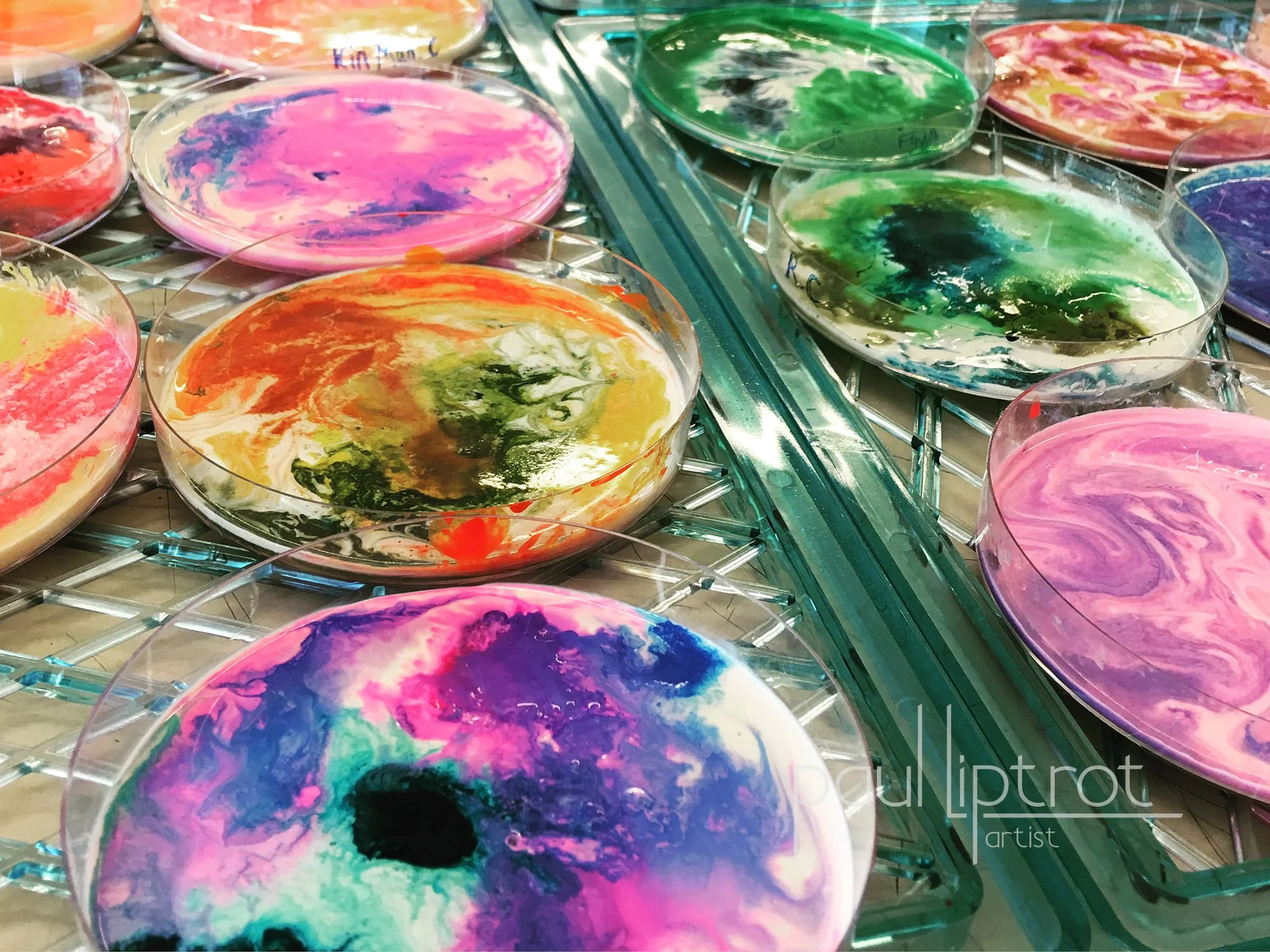 Purpose & Practice: The Heart of the Studio