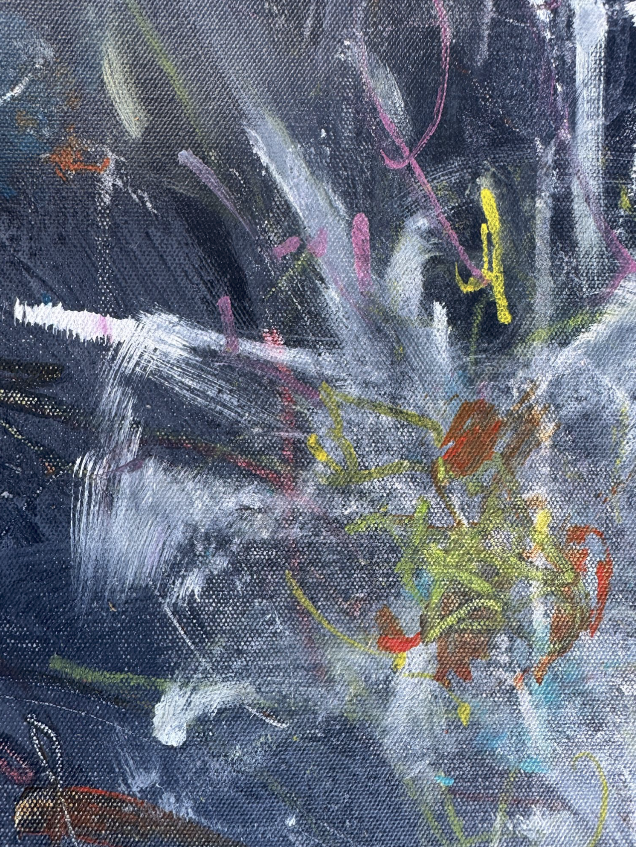 Dissolving Daisy_FPO2.png
