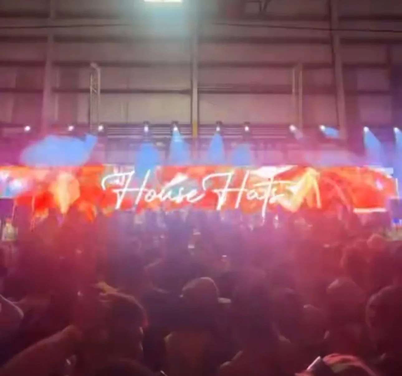 tampa charity show