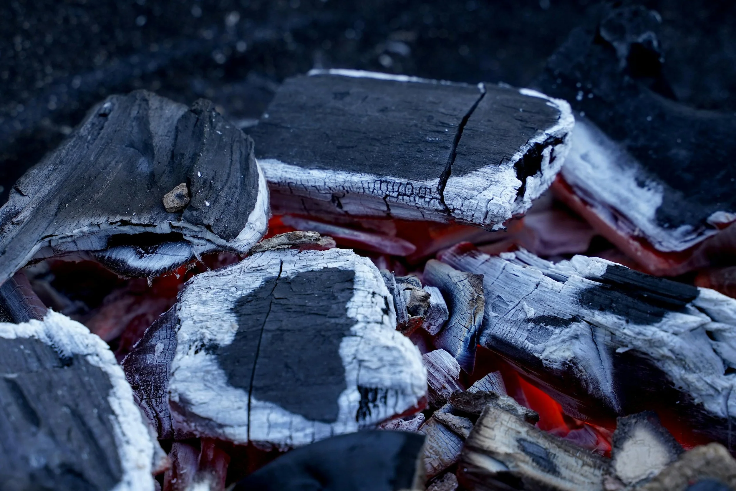 Charred embers resting in ash, glowing faintly without flame, symbolizing endurance and quiet survival during the Snow Moon.