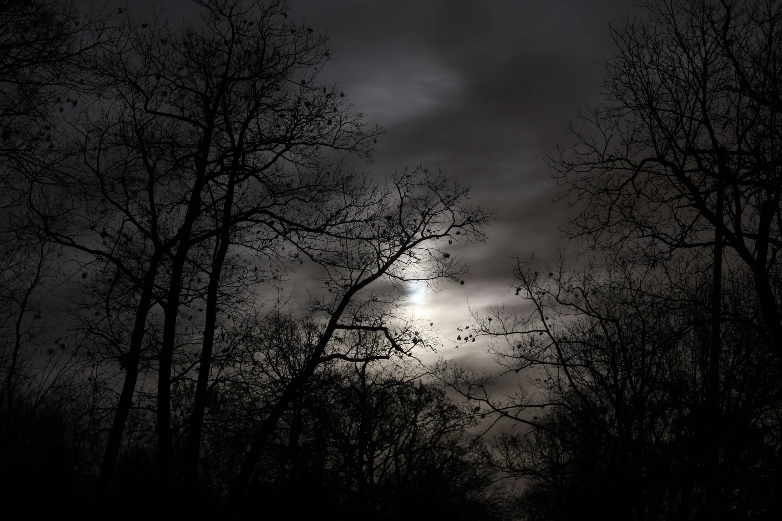 Full moon glowing through bare winter trees and clouds, evoking the grounding ritual for the Aquarius Buck Moon.