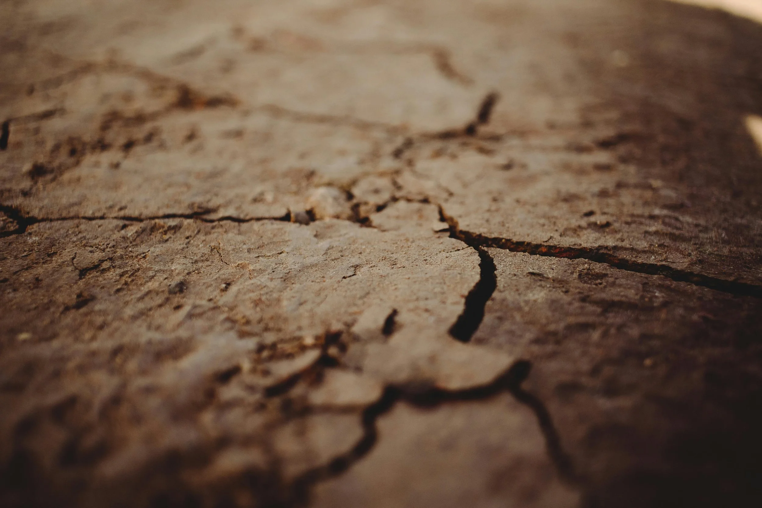 Close-up of arid, textured desert soil, representing a dry and grounded landscape.