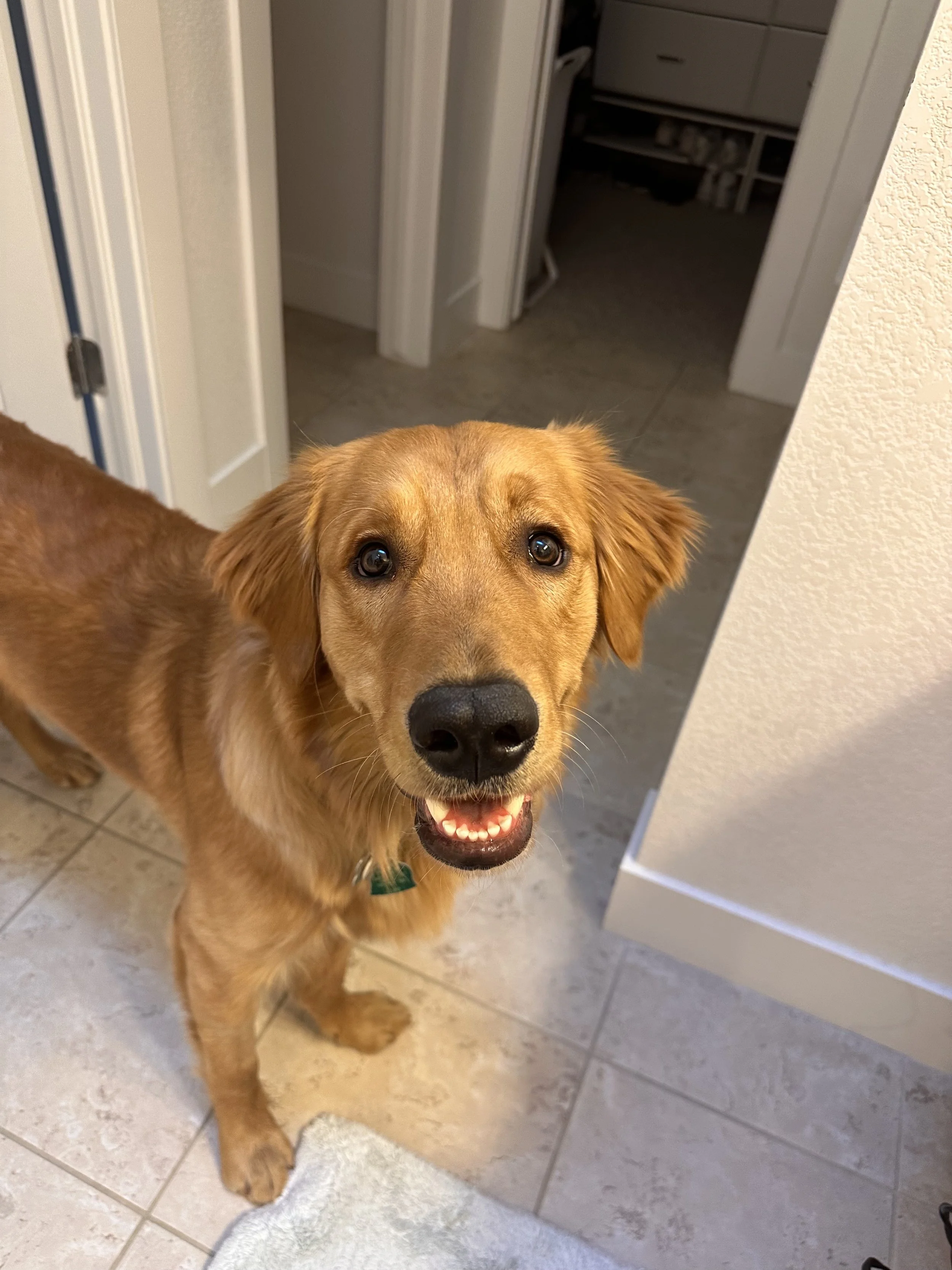 BODIE.jpg