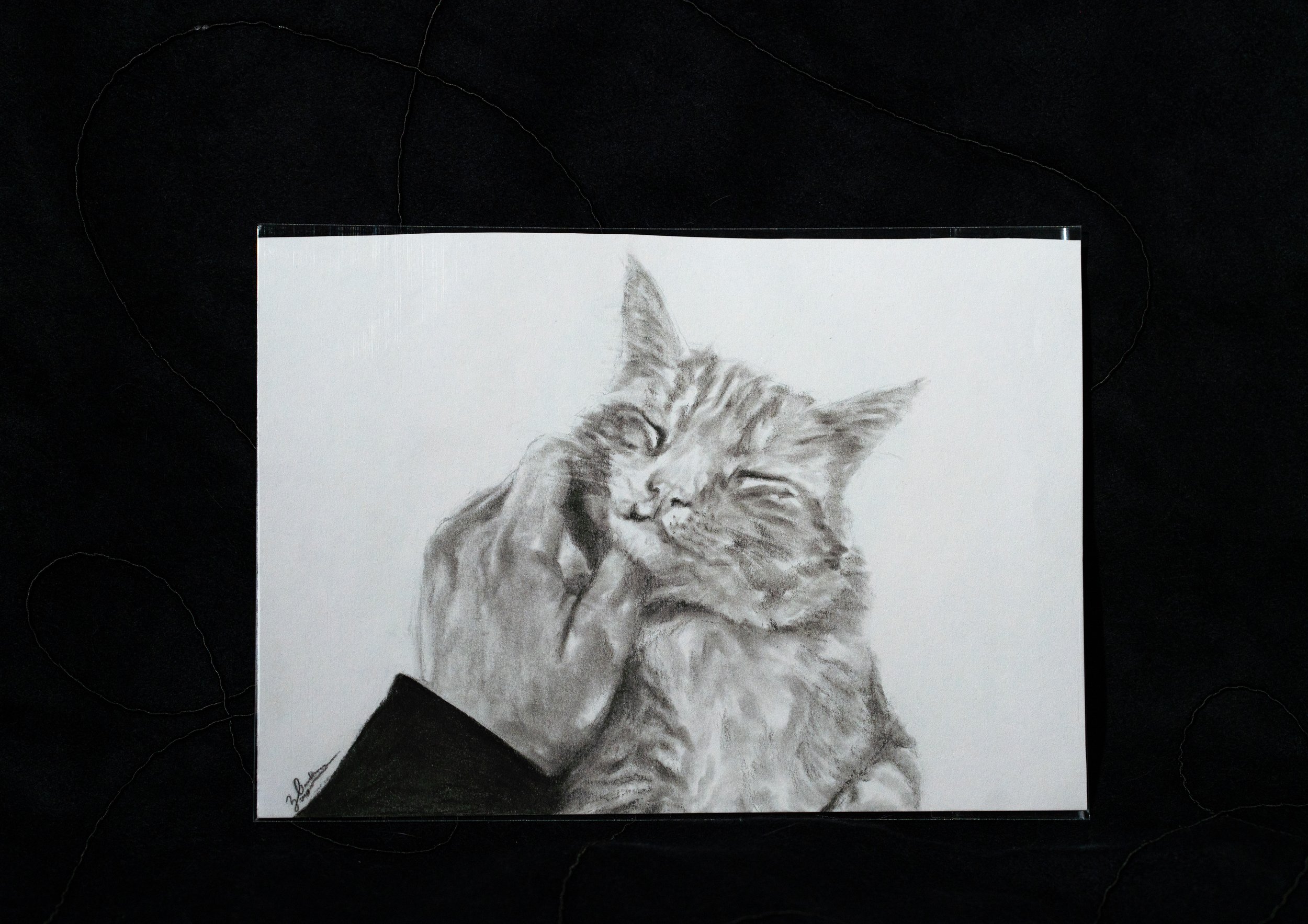 "Pumpkin" Original Charcoal