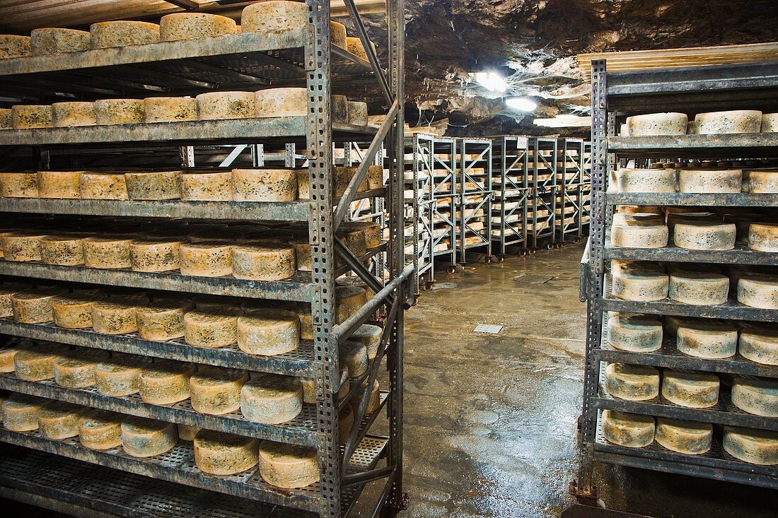 Queso de Cabrales