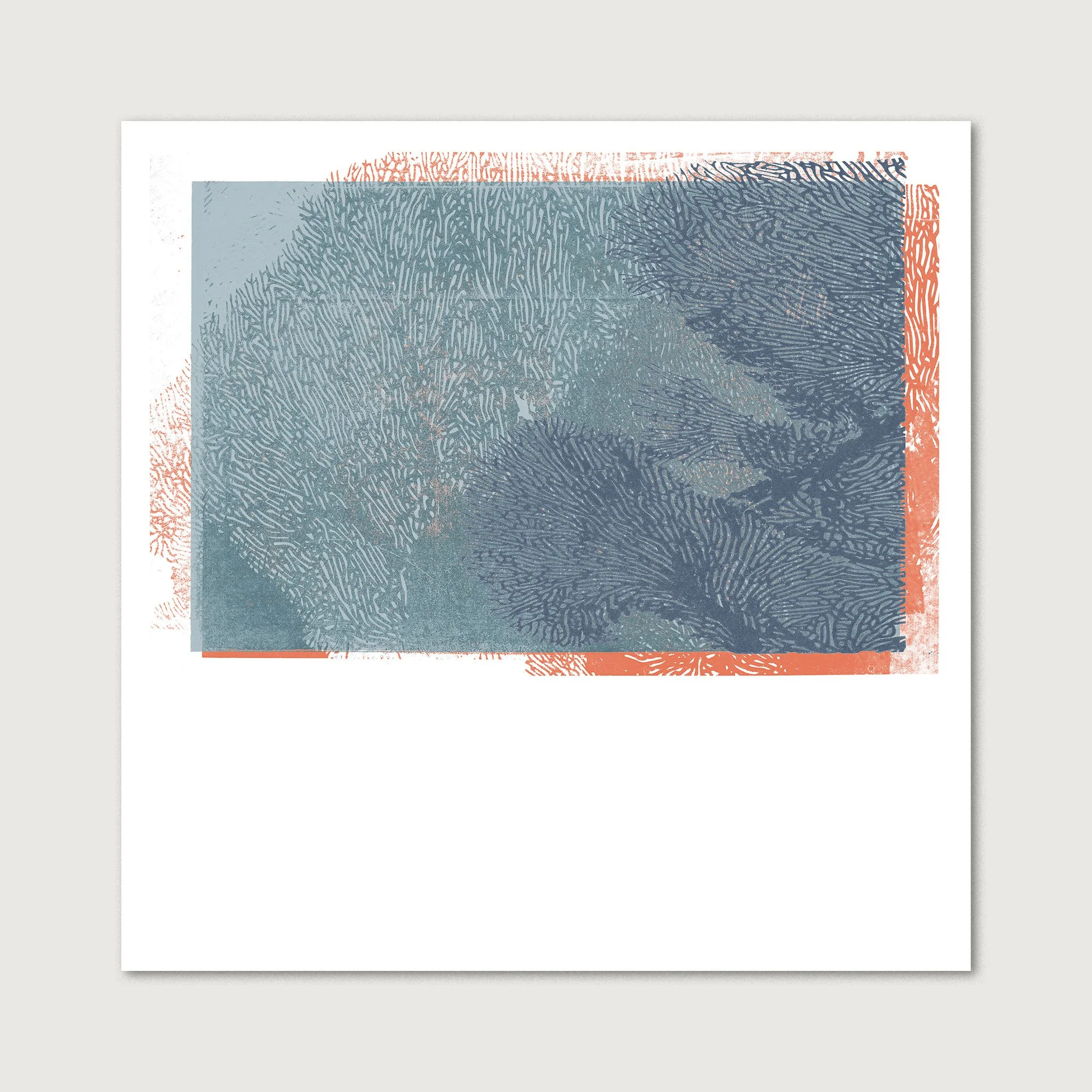 FONDATION OCÉAN TARA — New Year’s Greeting Card