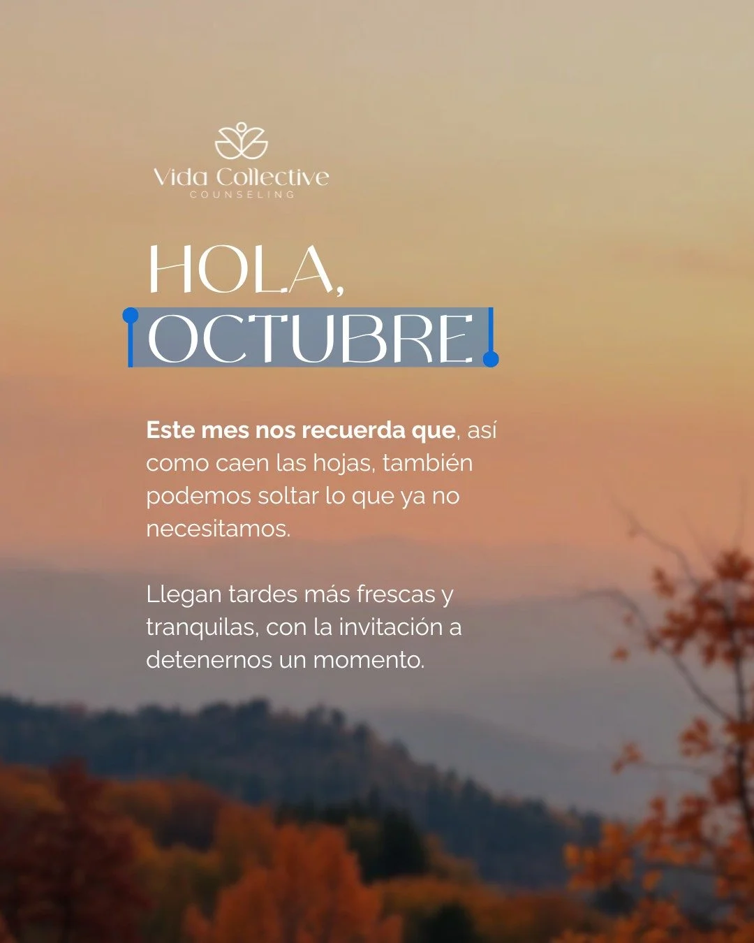 🍁Octubre nos invita a detenernos, respirar y dejar espacio para lo nuevo.�En VIDA Collective creemos que cada cambio es una oportunidad para crecer y reencontrarnos con nosotros mismos.
�
📲 Book your session this fall. (Agenda tu sesi&oacute;n este