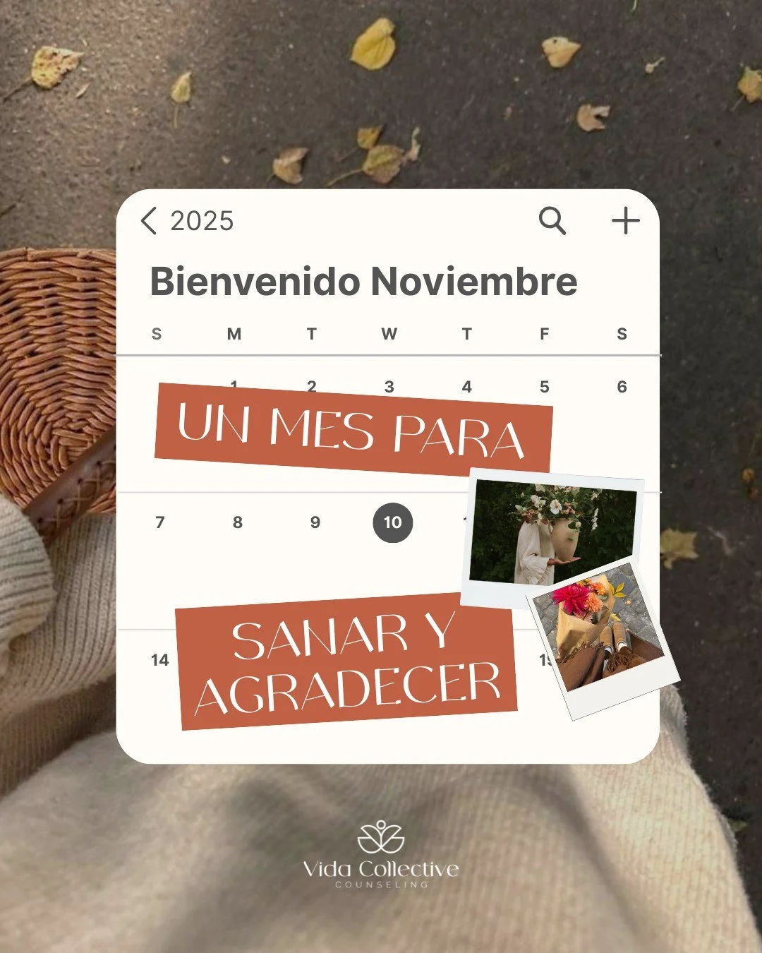 🍂 Noviembre llega con energ&iacute;a de pausa.
Un recordatorio de que sanar no siempre se siente grandioso,
a veces solo se siente m&aacute;s liviano.

Este noviembre, elige sanar despacio, agradecer m&aacute;s y exigirte menos.
�✨ Give yourself per