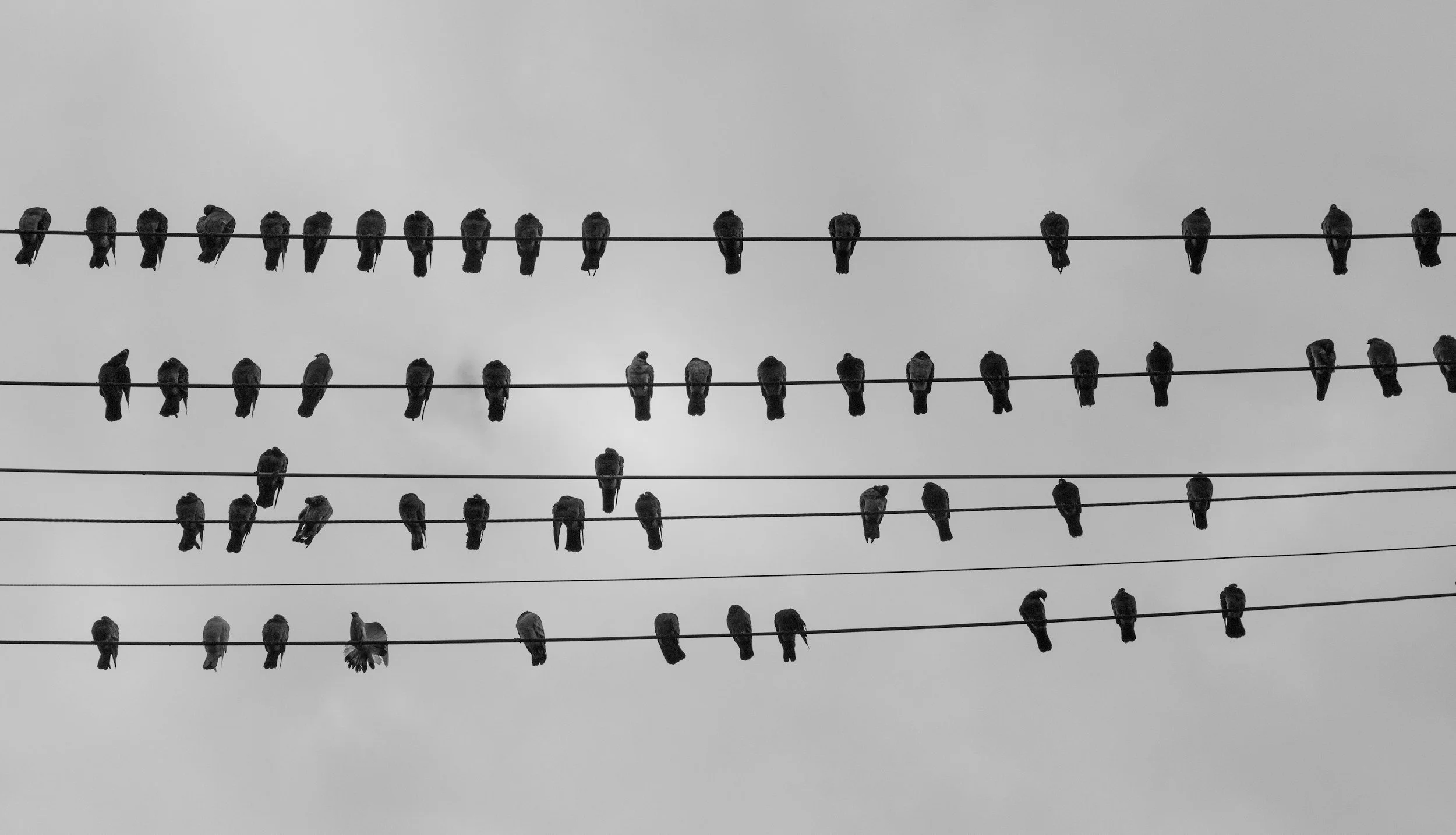 Untangling Codependency: How Therapy Helps You Reclaim Yourself and Your Relationships