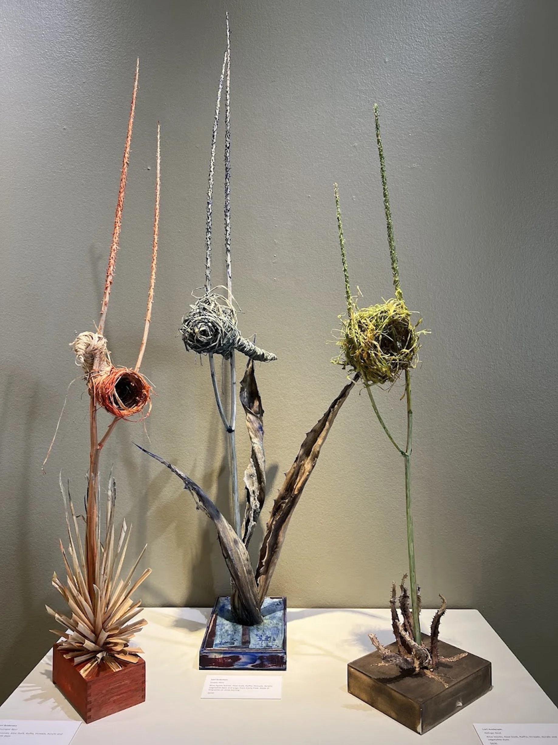Lori Andersen