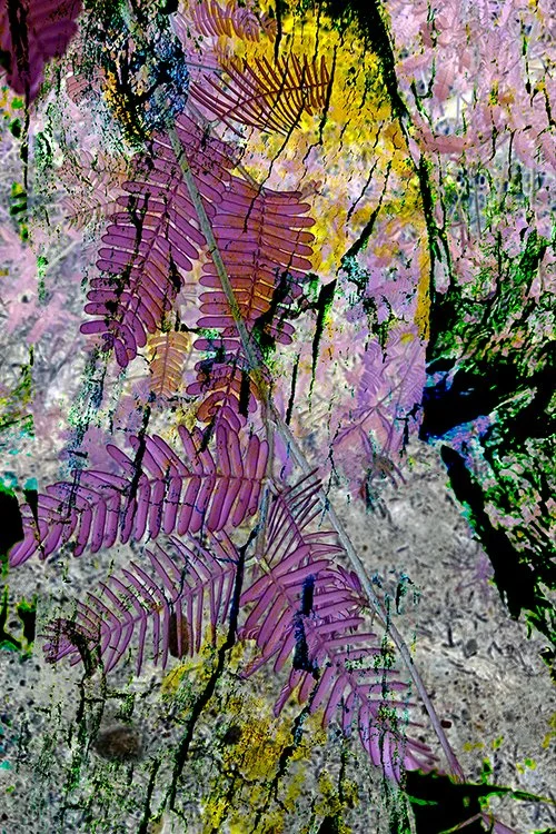 Patti Gardiner