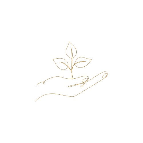 Outline drawing of a hand holding a small plant with three leaves.