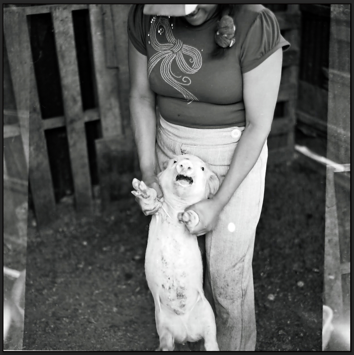 RUTH WITH PIG 2012.png