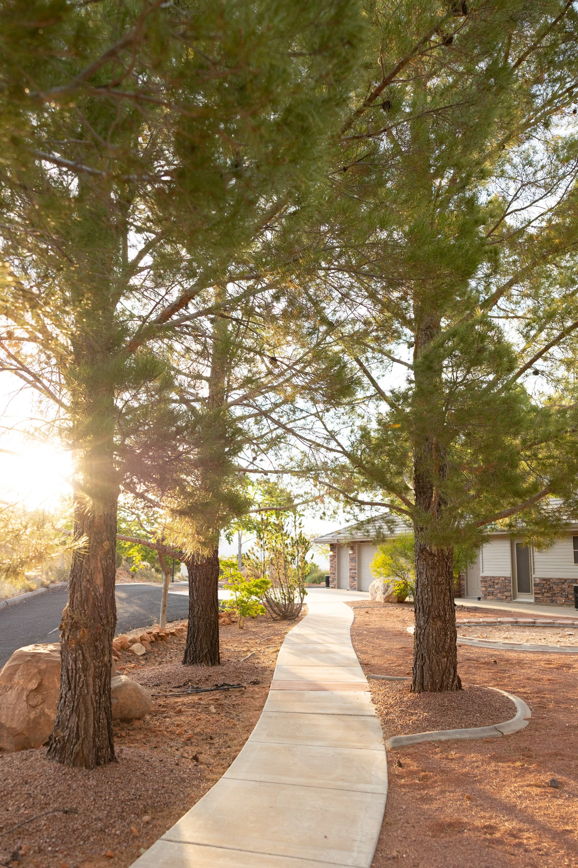 ZZR_EDITS-105 (1).jpg