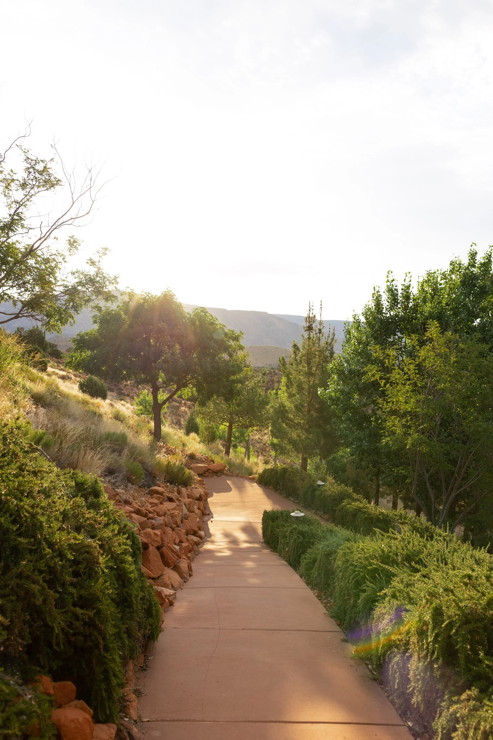 ZZR_EDITS-123 (1).jpg