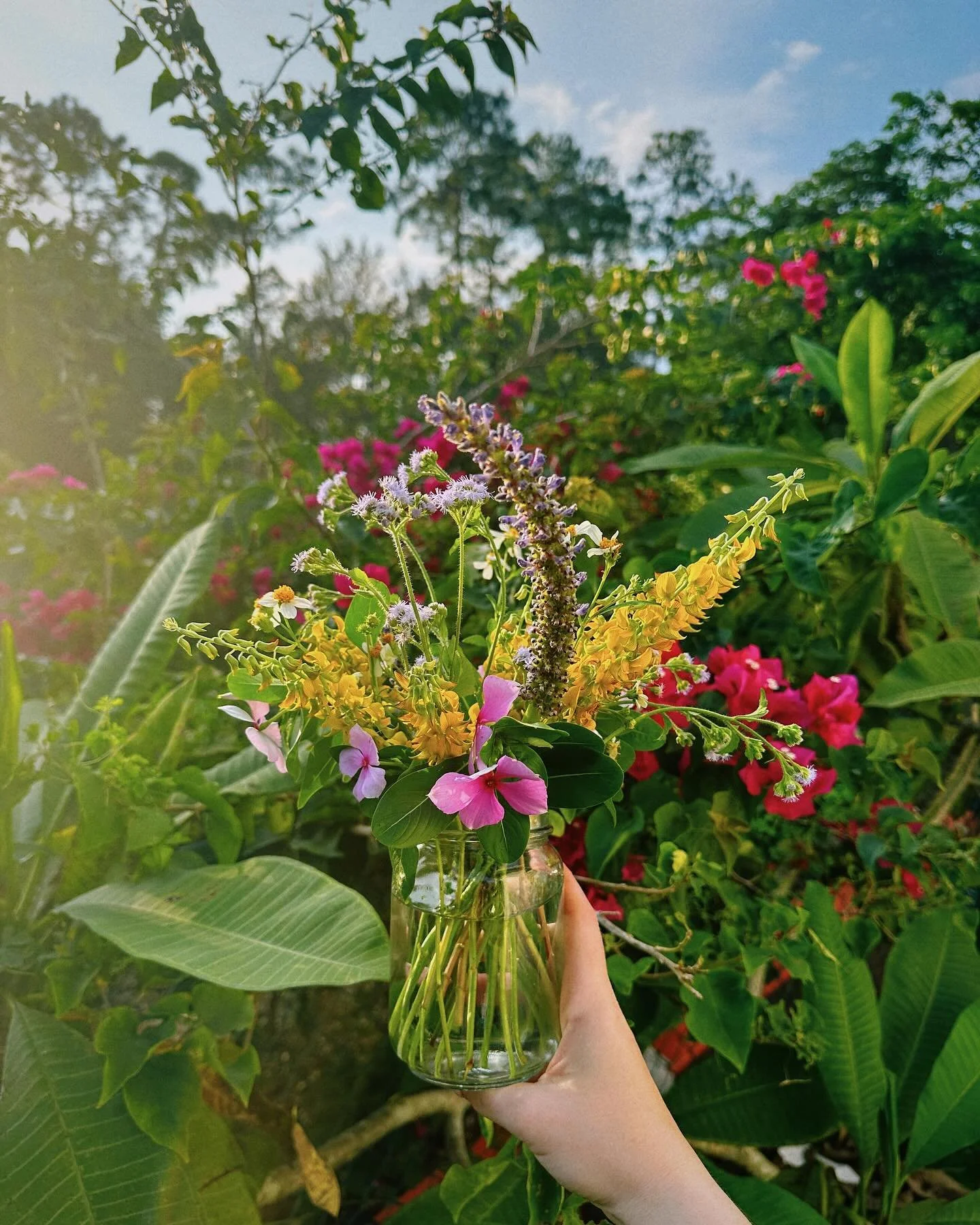 Happy Monday! We hope everyone had a restful weekend! Sunday evenings at the farm are for pulling weeds &amp; making wildflower bouquets 💐 

#floridafarm #jupiter #jupiterfarms #buylocalproduce #communitysupportedagriculture #floridaagriculture #hea
